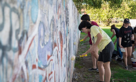 Mejoras en Skate Park