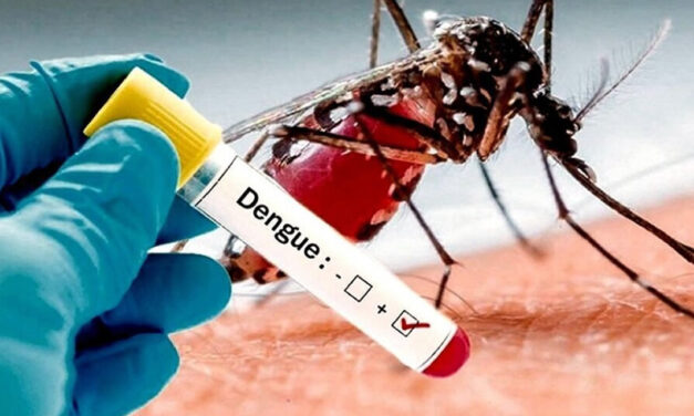 La Anmat aprobó el uso de una vacuna contra el dengue