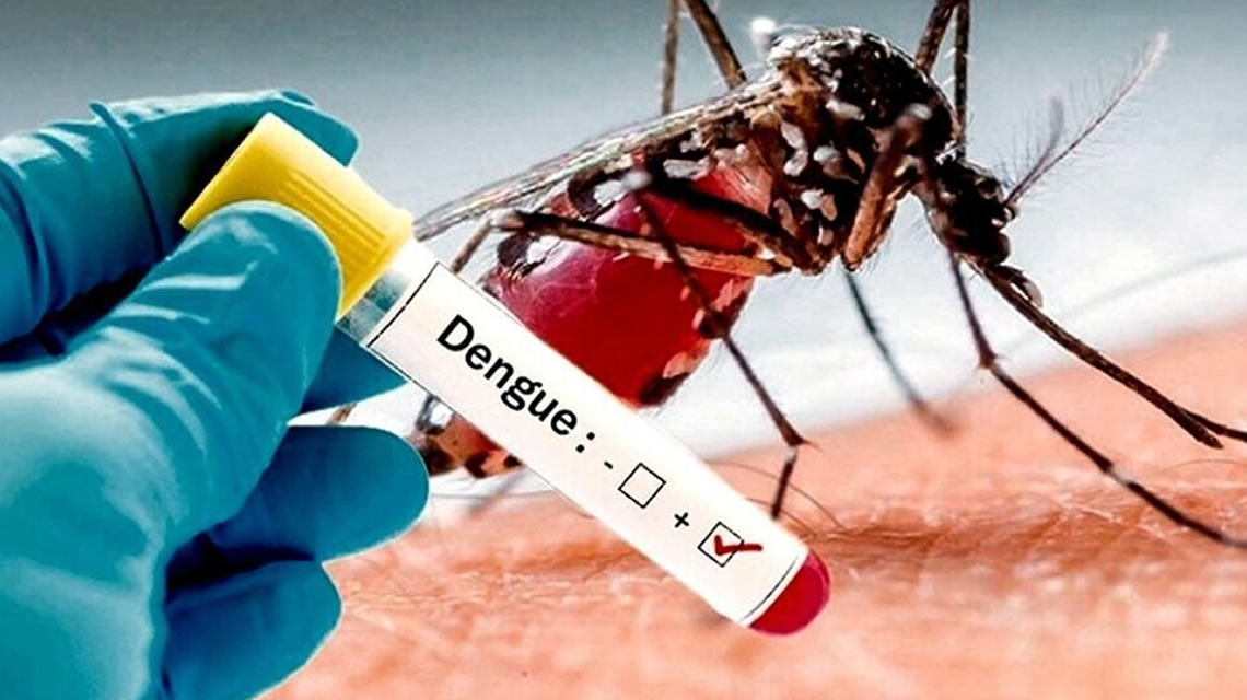 La Anmat aprobó el uso de una vacuna contra el dengue