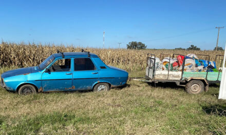 En Villa Cañás arrestaron a tres personas por robar maíz de un campo de la zona