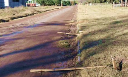 Vandalismo contra el arbolado público en Rufino