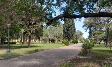 Un nene murió ahogado en una pileta