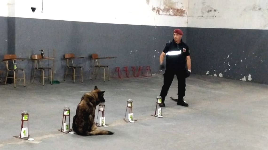Muestra de canes especializados Forense en el Instituto de Seguridad Pública