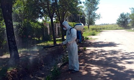 En el sector sur de Rufino fumigan contra los mosquitos del Dengue