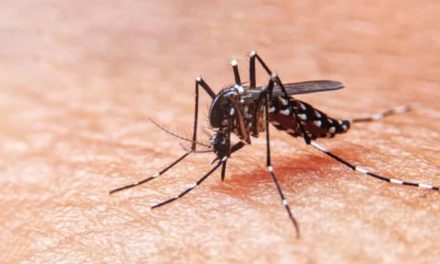 Salud informó más casos de dengue y chikungunya en Santa Fe