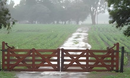 Llegaron las lluvias a la zona núcleo, con acumulados de hasta 80 mm