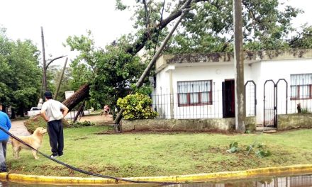 Fuerte temporal de agua y viento golpeó a la ciudad de Rufino en la madrugada de este lunes