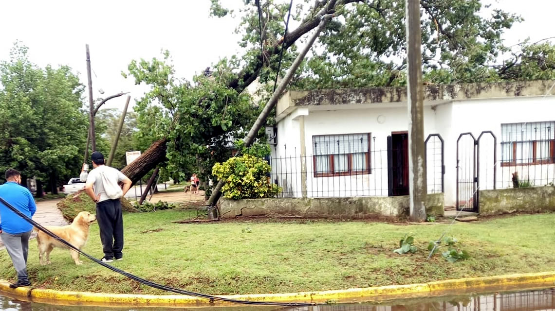Fuerte temporal de agua y viento golpeó a la ciudad de Rufino en la madrugada de este lunes