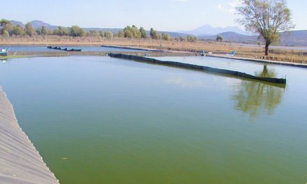 Proyectan la tercera laguna facultativa