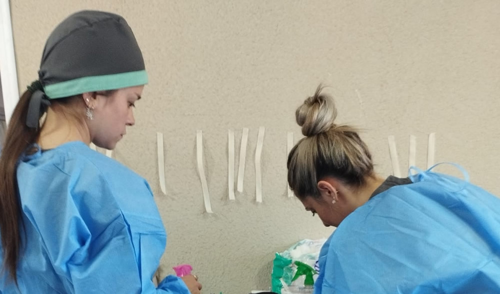 Vacunación antirrábica y jornada de castración
