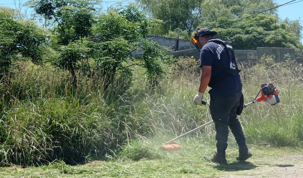 Trabajos de desmalezados en el sector sur