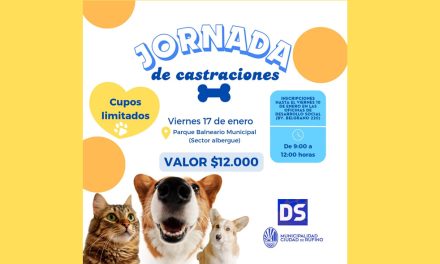 Jornada de castración para perros y gatos