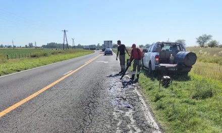 Vialidad Nacional refuerza el mantenimiento de la Ruta 33