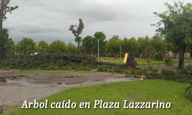 Fuerte temporal de agua y viento azotó a Amenabar y Lazzarino