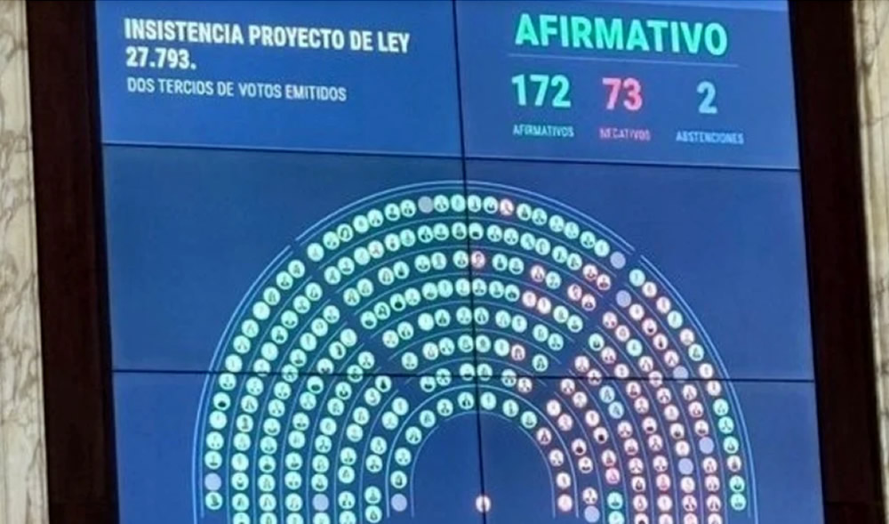 La Cámara de Diputados da un fuerte revés a Milei y rechaza su veto a la Ley de Emergencia en Discapacidad