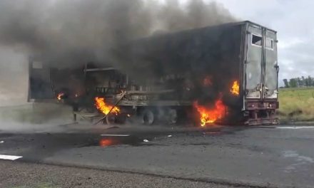 Incendio de un camión en Ruta 7 entre Rufino y Roseti