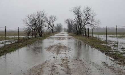 Lluvia en Rufino: Se registraron 34 mm durante la mañana de este domingo