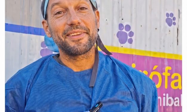 Exitosa jornada de castración y vacunación antirrábica en Rufino