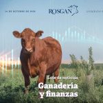 Según el informe del mercado ganadero de la Bolsa de Comercio de Rosario, el sector ganadero atraviesa un momento de contrastes