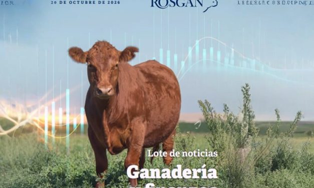 Según el informe del mercado ganadero de la Bolsa de Comercio de Rosario, el sector ganadero atraviesa un momento de contrastes